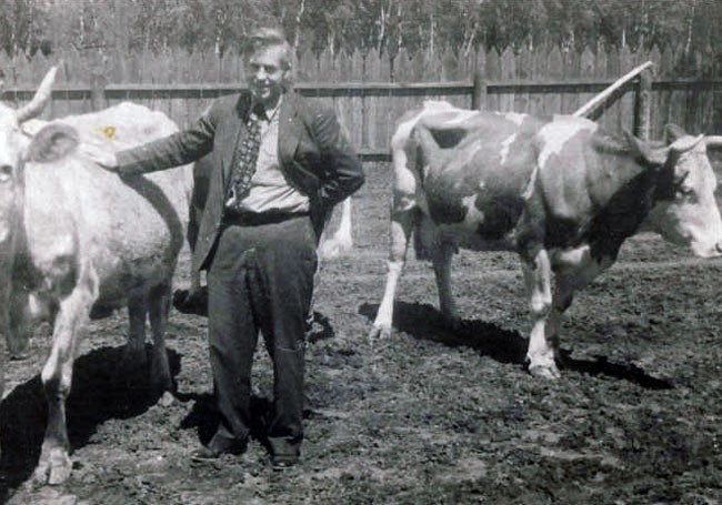 With cows, China, 1944